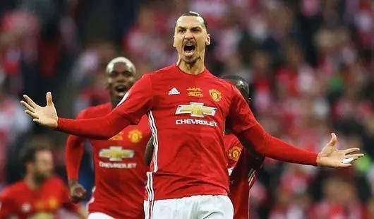 如今它的足 如今它的足